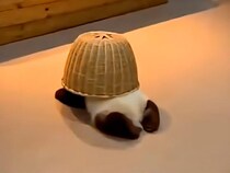 「これを被れば透明なんだぞ！」カゴで隠れたつもりの子パンダさん、得意げな様子が可愛すぎ