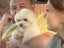「私のお父さんなんだから！」抱っこ中にライバルを警戒する犬さん