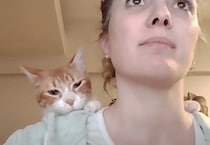 「お仕事早く終わるといいね」背中にくっついて見守ってくれる猫
