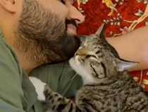 おヒゲのじょりじょりが好きな猫さん、「ヒゲタイム」を邪魔されたくない！