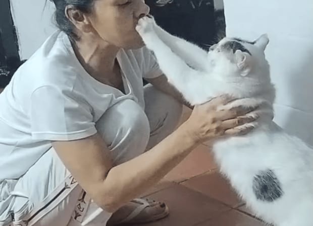 猫「ママちょっと、うるさいニャ」 話を聞く気がない!