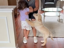 おばあちゃん大好きな子犬さん、喜びのあまりブレーキを忘れて突撃！