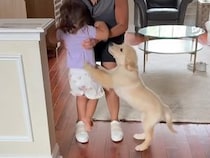 おばあちゃん大好きな子犬さん、喜びのあまりブレーキを忘れて突撃！
