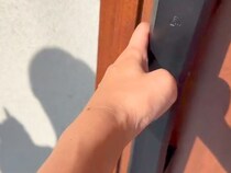 大好きな『人間のお友達』ができた犬→玄関のドアを開けた、次の瞬間…予想以上に『大喜びのお出迎え』が31万再生「幸せ伝わる」「満面の笑み」