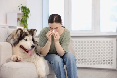犬の隣で鼻をかむ