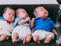 三つ子の赤ちゃんの『お宮参り』に参加する犬→記念撮影で…まさかの『ドヤ顔』が134万表示「自分が産んだって顔してるｗ」「主役感あって草」