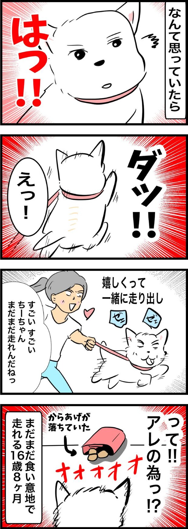 ちーちゃんですけどもっ【第328話】２