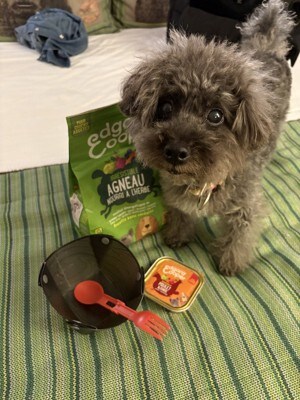 エマのお皿はアウトドア用の組み立て皿を持参