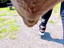 犬の胸に『カメラを設置した』結果→遊んでいる途中で…思わず泣けてくる『まさかの光景』が17万再生「愛が溢れてる」「ずっと幸せでいて」