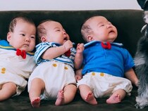 三つ子の赤ちゃんの『お宮参り』に参加する犬→記念撮影で…まさかの『ドヤ顔』が134万表示「自分が産んだって顔してるｗ」「主役感あって草」