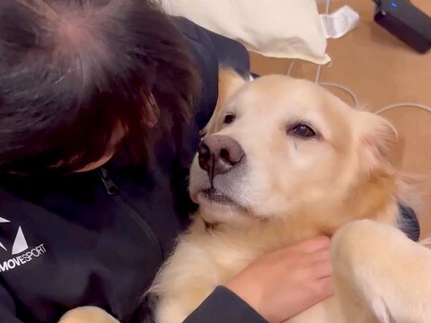女の子が母犬といちゃいちゃしていたら、子供犬たちが嫉妬して…ずっと見ていたい『幸せで尊い光景』が50万再生「ゴルまみれ」「もみくちゃｗ」