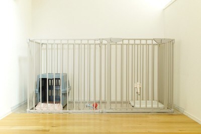 犬が入っていないケージ