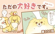 ただの犬好きです。【第331話】「帰省しました⑥」