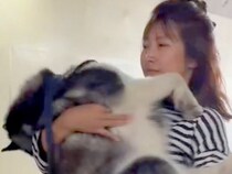 朝、大型犬とお散歩→家から『たった徒歩３分の場所』で…思っていたのと違う『まさかの行動』に反響「大きい赤ちゃんｗ」「甘えん坊さん」