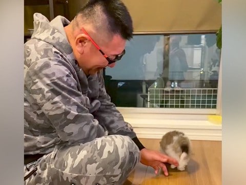 『子どもがいない夫婦』が犬を飼った結果→愛情いっぱいに育てて…思わず涙する『3年後の光景』が59万再生「尊すぎる」「愛に溢れてる…」