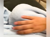 赤ちゃんのおしゃぶりを犬が強奪→毛布の中をめくってみた結果…全く予想できなかった『まさかの光景』が59万再生「想像の数倍可愛いｗ」と絶賛