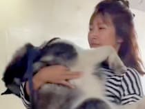 朝、大型犬とお散歩→家から『たった徒歩３分の場所』で…思っていたのと違う『まさかの行動』に反響「大きい赤ちゃんｗ」「甘えん坊さん」