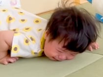 転んで大号泣する赤ちゃん→見ていた犬が『心配するかな』と思ったら…予想を裏切る『まさかの反応』が25万再生「神対応ｗ」「肝が据わってる」