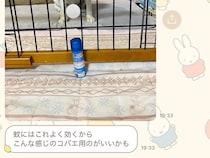 母に『実家で使っているもの教えて』とLINEした結果→なぜか必ず『犬』が…可愛すぎる共有の仕方に5万いいね「ピント犬に合ってるｗ」と反響