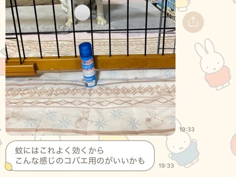 母に『実家で使っているもの教えて』とLINEした結果→なぜか必ず『犬』が…可愛すぎる共有の仕方に5万いいね「ピント犬に合ってるｗ」と反響