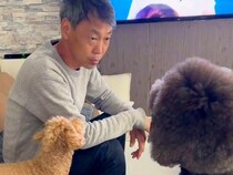 電気工事士の父が、大型犬に『仕事の段取り』を説明した結果…人間にしか見えない『まさかの光景』が158万再生「真面目ｗｗ」「素敵な家族」
