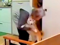 おばあちゃんと犬がお留守番→ふとペットカメラを『のぞき見』した結果…まるで人の子供？尊すぎる光景が42万再生「笑い止まらん」「ほっこり」