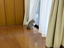 耳が聞こえにくくなってきた高齢犬→飼い主が帰宅すると…『愛おしくも切ない反応』が643万表示の反響「泣けてきた」「胸がギュッてなった」