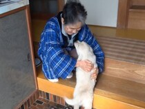 超犬好きな母に『内緒で子犬をお迎えした』結果…思わず涙が出る『尊すぎる反応』が658万再生「胸が熱くなった」「みんな可愛い」現在の姿も