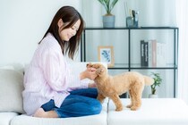 犬にとって絶対NGな『愛情表現』５選　飼い主が避けるべき行動や正しいスキンシップまで