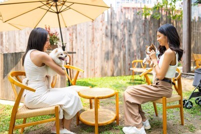 犬連れで歓談する女性たち