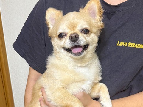 弟に抱っこされると笑顔になる犬→母がやってみると…差がありすぎる『表情の変化』が184万表示「どうしたのww」「違いすぎて草」と爆笑