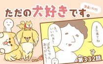 ただの犬好きです。【第332話】「帰省しました⑦」