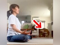 瞑想していたら『どうしても遊んでほしい犬』が近づいて…絶対に集中できない『煩悩まみれの光景』が15万再生「無視出来ないｗ」「可愛いｗ」