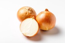 犬が食べると死ぬ可能性のある『食品』５選　誤食した場合の危険な症状や早急にすべき対処法まで