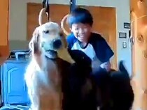 学校から帰宅後した子どもたち→2匹の大型犬と会った瞬間…カメラが捉えた『感動的な光景』が60万再生「すべてが素敵…」「口角上がる」と絶賛