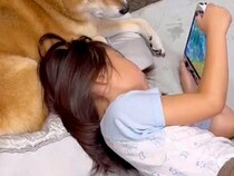 女の子に『ゲーム見てて』とお願いされた犬→『眠たい』と思いながらも…あまりにも尊い光景が28万再生「優しい」「ちゃんとお兄ちゃんしてる」