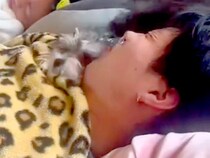 朝まで飲んで帰宅した男性→酔っ払って寝ていたら、犬が…衝撃的な『大暴走』が287万再生「左フックｗｗ」「見れば見るほどジワる」と爆笑