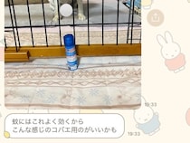 母に『実家で使っているもの教えて』とLINEした結果→なぜか必ず『犬』が…可愛すぎる共有の仕方に5万いいね「ピント犬に合ってるｗ」と反響