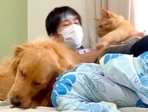 風邪をひいて寝込む男性→『犬と猫に癒してもらおう』と思ったら…あまりにも『違いすぎる対応』が8万再生「2匹とも可愛すぎる」「笑ったｗ」