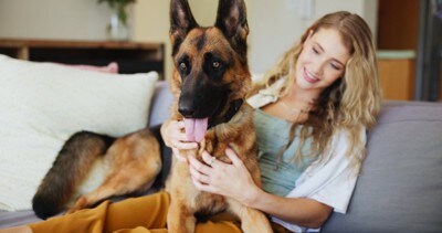 笑顔で女性の上に座る犬
