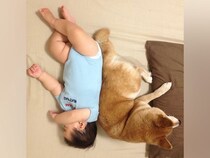 寄り添って寝転がる『赤ちゃんと犬』→泣けてくる『10年後の光景』が3万表示「ずっと一緒だったんだ」「穏やかな時間が続きますように」と反響