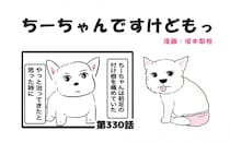 ちーちゃんですけどもっ【第330話】「シニア犬だとすぐ病気を疑うから」