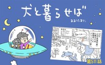 犬と暮らせば【第511話】「パリを出る」