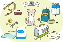 100均で備える『愛犬用の防災グッズ』6選　災害時に役立つ使い方や準備のコツをご紹介