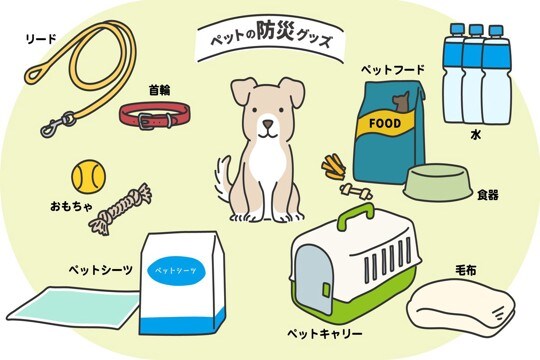 100均で備える『愛犬用の防災グッズ』6選　災害時に役立つ使い方や準備のコツをご紹介