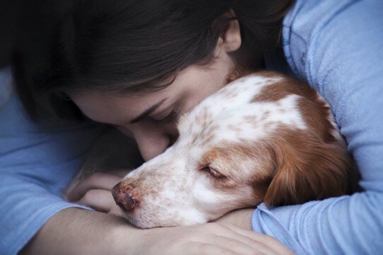 愛犬との最期の過ごし方|どんな心構えで過ごし、どんなことを準備しておくか?現役獣医がアドバイス