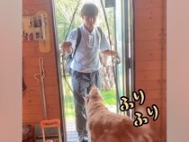 学校から帰ってきたお兄ちゃん→玄関をまたいだ瞬間、2匹の大型犬が…尊すぎる『全力のおかえりなさい』に反響「心が温まる」「羨ましい」