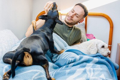 男性と二匹の犬