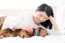 犬が飼い主に『添い寝』する心理4選　一緒に寝たがる理由や寝床を共にする注意点まで