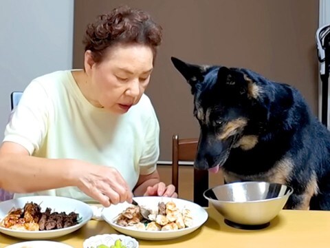 実家のおばあちゃんに犬を預けた結果、晩ご飯の時に…あまりにも尊い『まさかの光景』が186万再生「お行儀いい…」「なんて平和なの」と反響